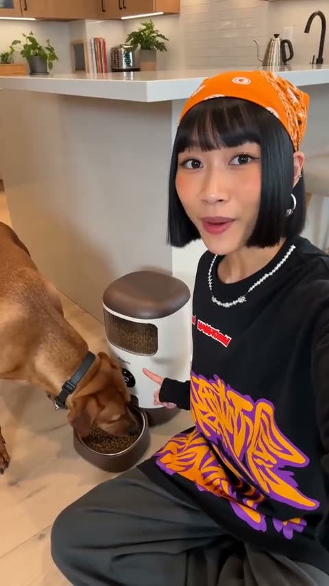 Automatic Pet Feeder Tutorial thumbnail