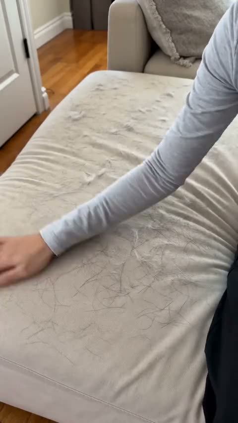 Sofa Fur Remover Results thumbnail