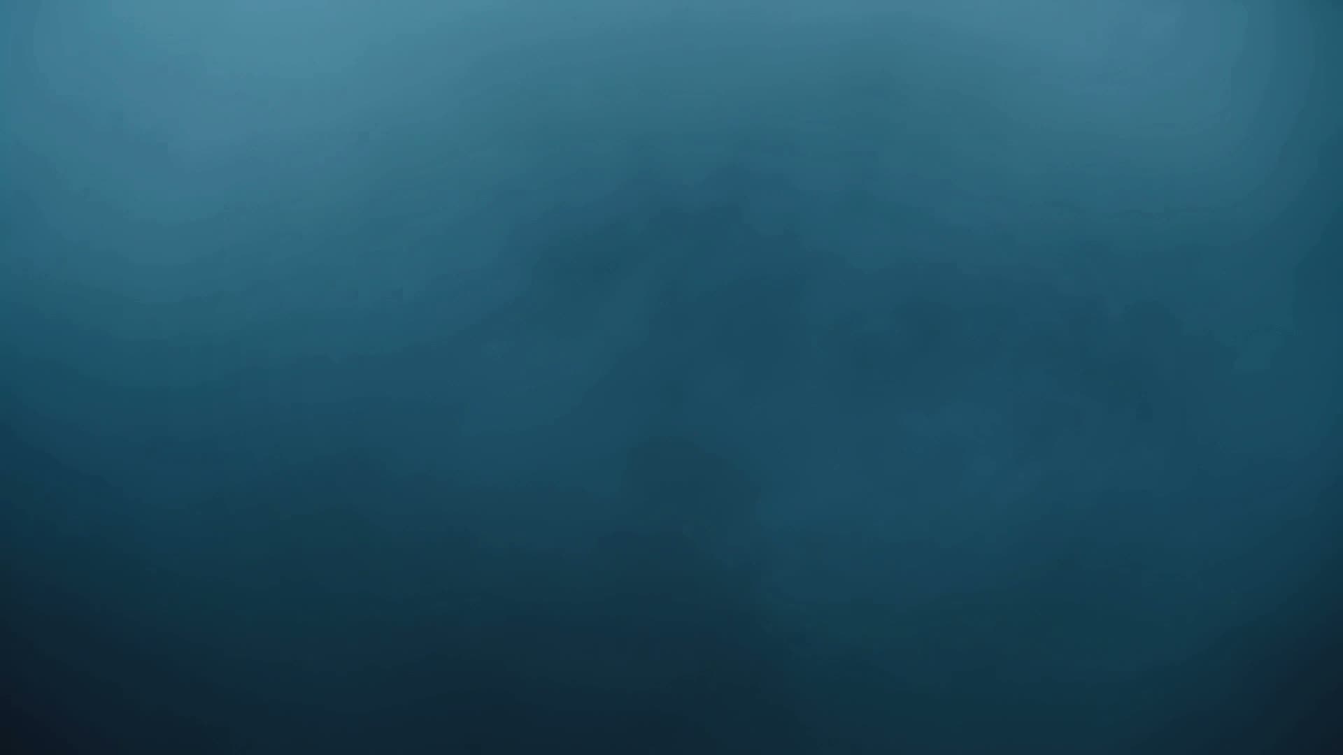 Arctic Leopard Spec Ad thumbnail